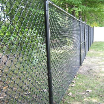 50*50mm Galvanized Zinc Coated Wholesale Chain Link Fence