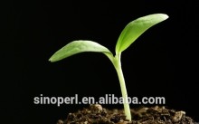 Expanded Perlite for Seed Germination Transplanting