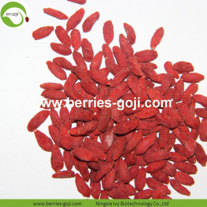 Factory Supply Healthy Natural Packing Goji