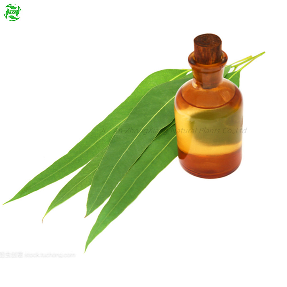 Эфирные масла Эвкалиптовое ароматическое масло для свечей, массажа
