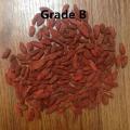 Nieorganiczna Goji Berry B Grade 380 Konwencjonalne Goji