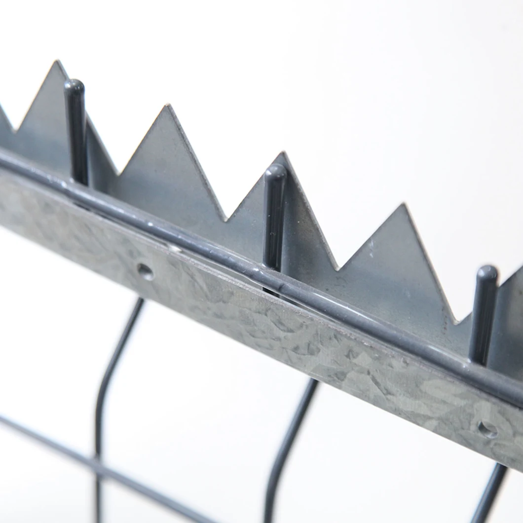 Sharp Galvanized Wall Spike