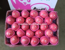 Fresh Apple Fuji Best Sell In Mumbai India