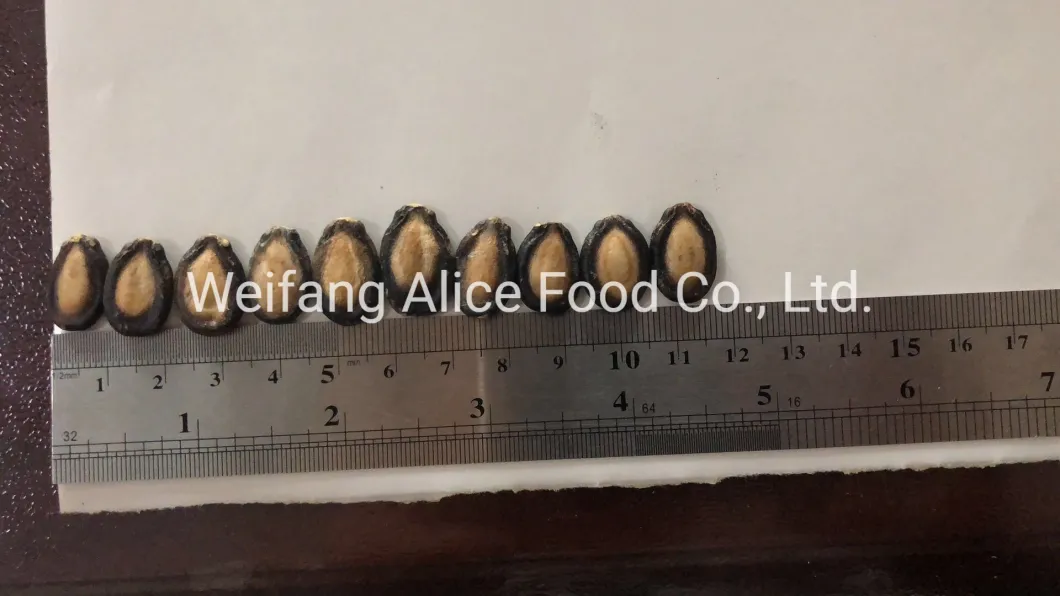 Chinese Black Watermelon Seeds in Big Size Bulk Price