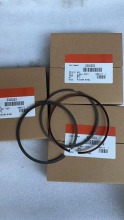 Cummins B3.3/QSB3.3 Piston Ring Assy 5345253