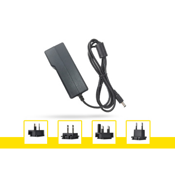 24V 2.5A Interchangeable Plug Power Adapter 60W