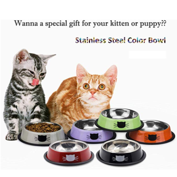 Durable Pet bowl Dish