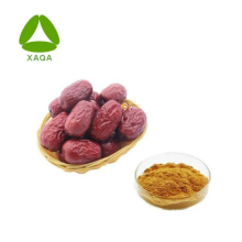 Jujube Extrait chinois Date poudre 10: 1