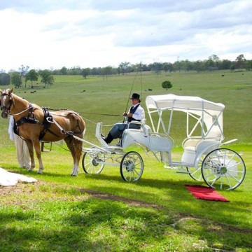 Other horse products, horse stables and horse accessories for wedding