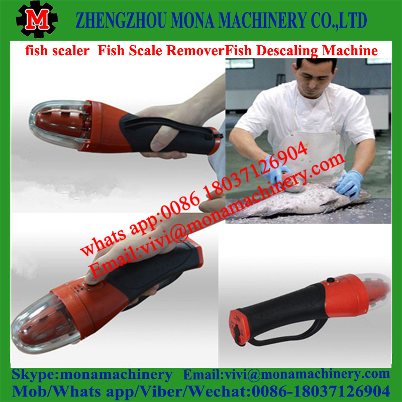 fish scale peeling machine/fish scale peeler