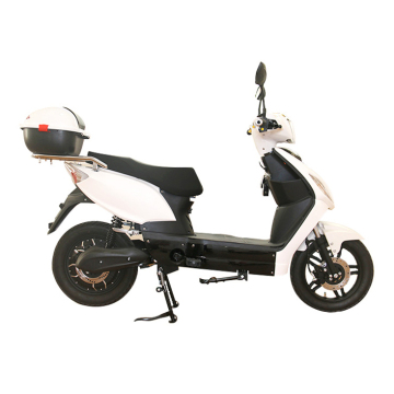 Eec Electrical Drift Scooter: Dual Motor Electric Street Scooter