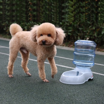 Automatic Dog Water Feeder Pet Drinking Feeder