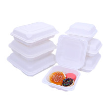 Biodegradable Plastic Takeaway Food Clamshell Box