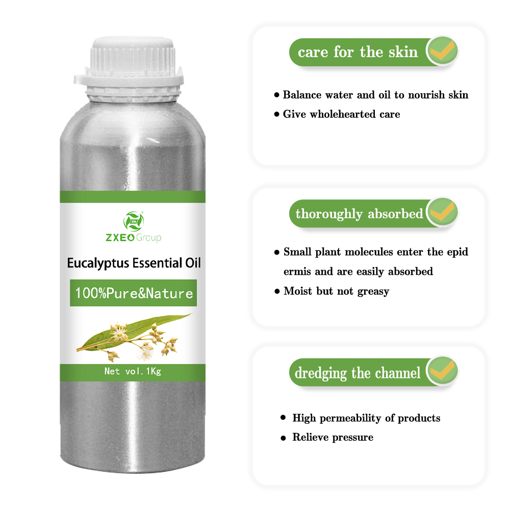 Minyak Atsiri Eucalyptus Organik Massal 100% Murni untuk Aromaterapi Diffusers Air Fresheners | Tingkat terapeutik murni 1kg