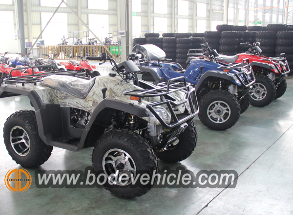 300cc atv (1)