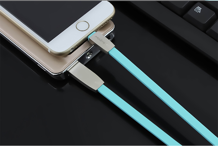 câble usb court vers la foudre short usb to lightning cable