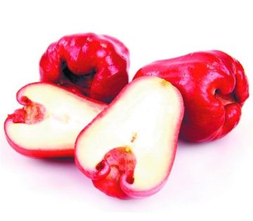 Nice Wax-apple for Sale