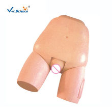 Fundus Of Uterus Exam & Evaluation Model