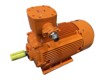 Flame Proof Asynchronous Induction Motor