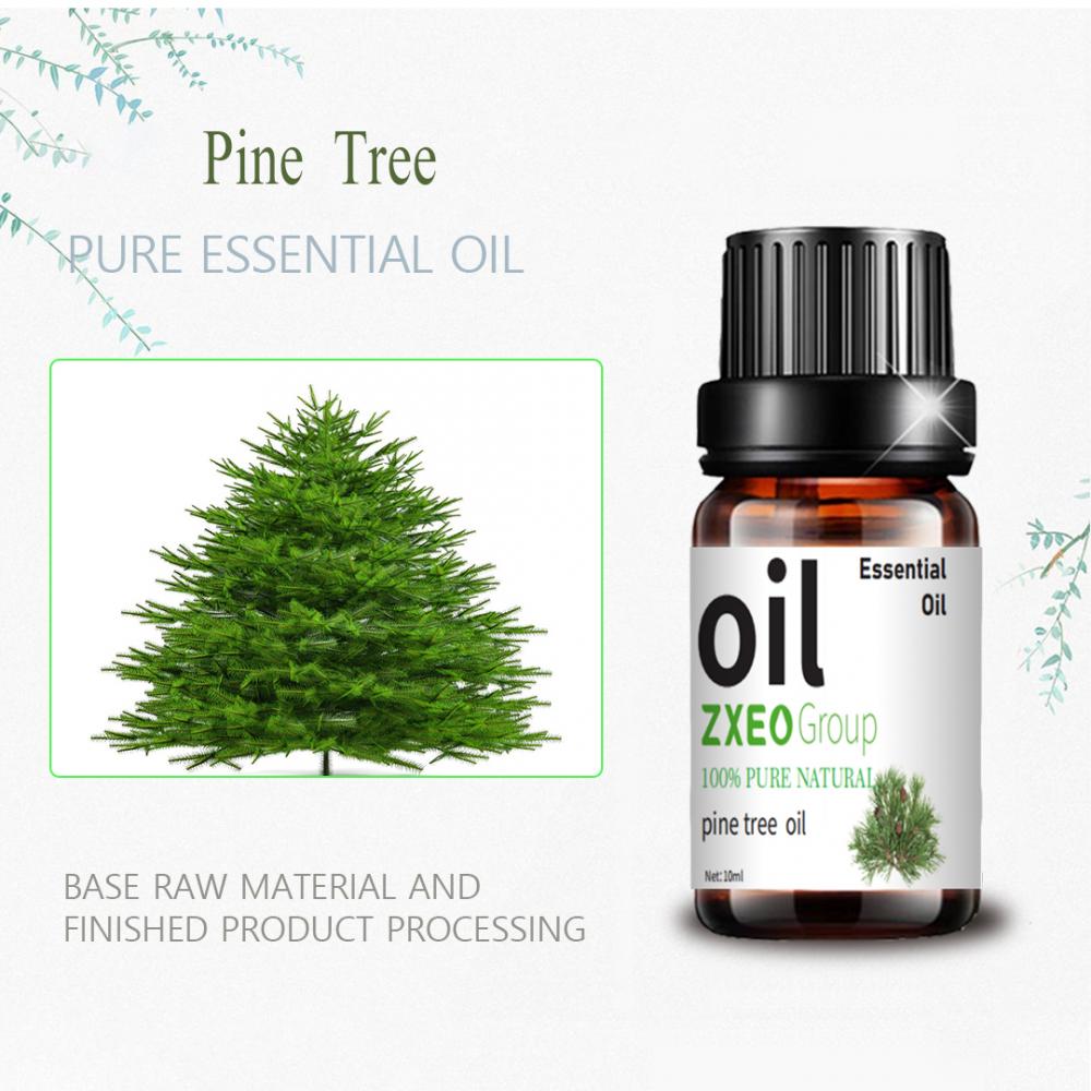 OEM Private Label Pine Tree Óleo essencial para venda Cuidados com a pele