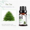OEM Private Label Pine Tree Essential Oil untuk Dijual Perawatan Kulit