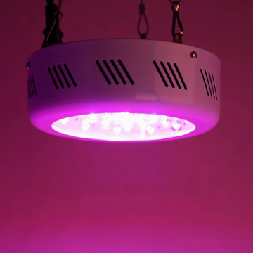 LED hidropônico com efeito de estufa crescente