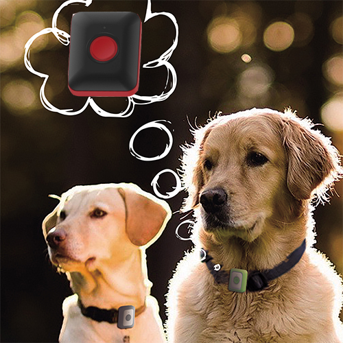 GPS + WIFI + LBS SMART PET GPS COLLAR