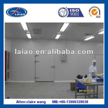 deep freezer cold room (cold room/ freezer)