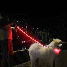 Waterproof LED Flashing Anti-Lost Dog Leash - New Cool Design