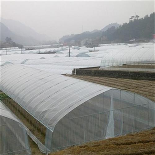 Agricultura Single Tunnel Plastic Film Greenhouse