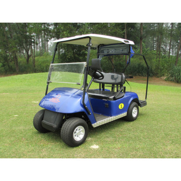 New electric 48V 4KW off road golf cart