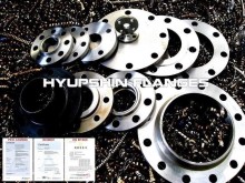 BS4504 Slip On Plate PLRF PN25 Forging Flanges