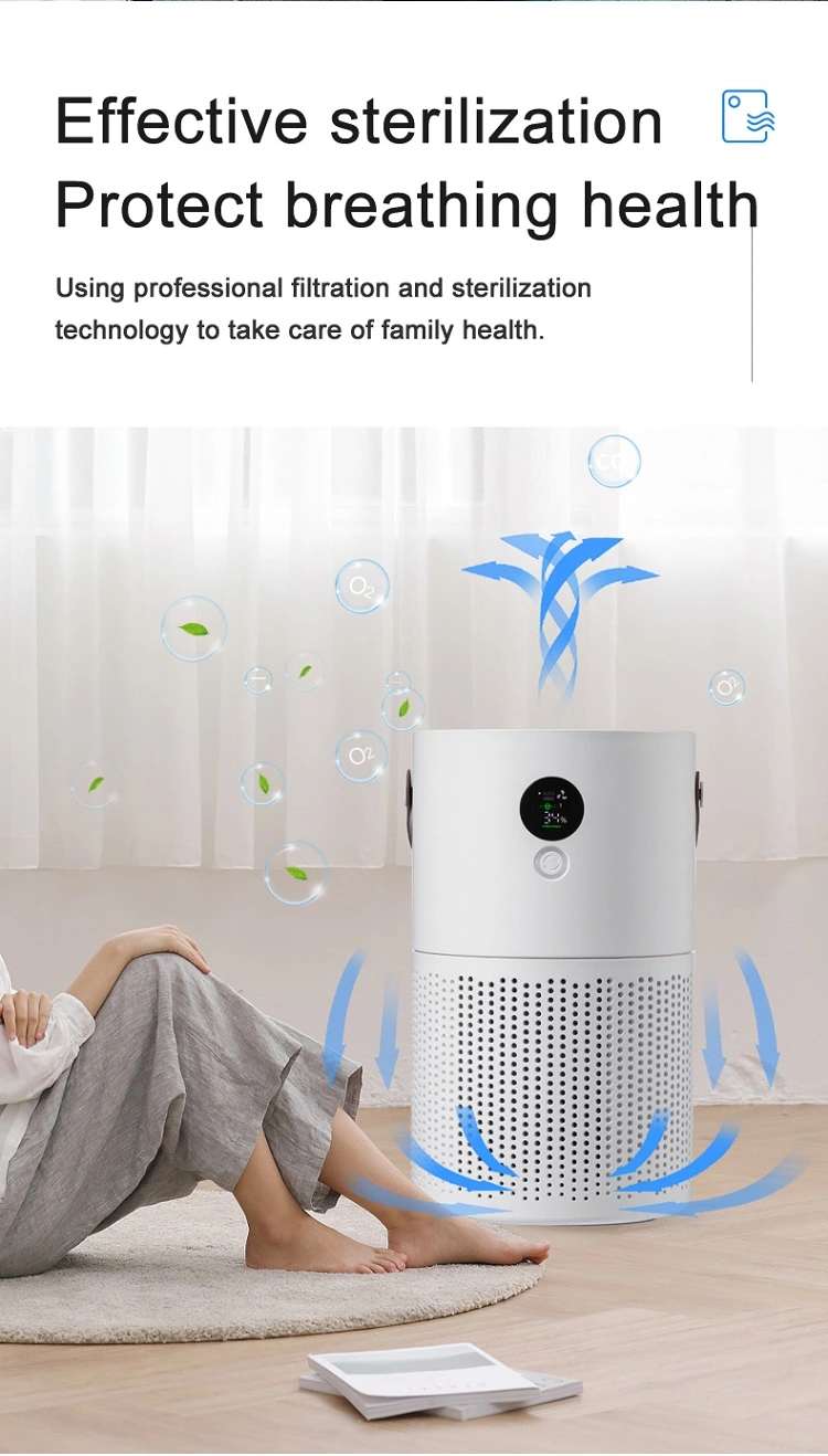 Mini Elevator Air Purifier with Plasma and Negative Oxygen Ions Disinfection Machine to Kill