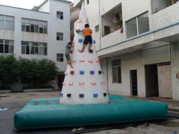 Hot sell Inflatable climb wall for adults/rock climb wall/climb wall for drill