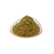 Salvadora Persica Extract Miswak Powder