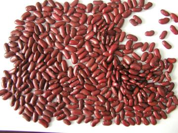 dark red kidney beans