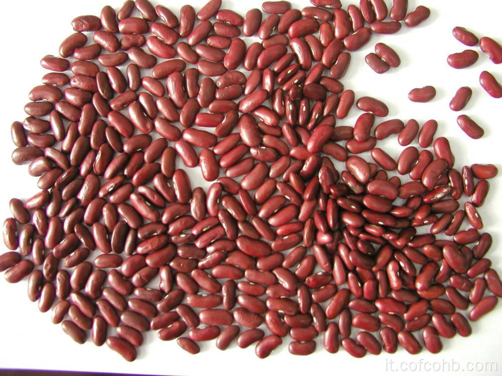 fagioli rosso scuro