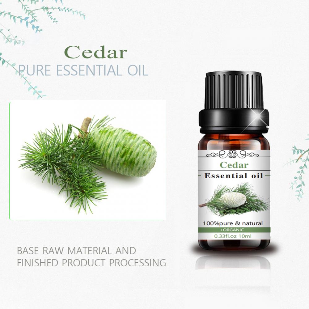 High Quality Pure and Natural Cedar Essential Oil
