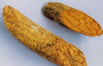 Dried Caulis Erycibes