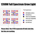 Led Grow Light for Greenhouse Idroponico indoor