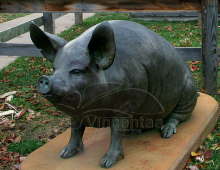 Outdoor Decoration Metal Craft Life Size Bronze Pig Sculpture