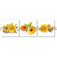 Printed Flower Art Picture