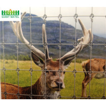 Glavanized PVC Coated Field Fence Deer Farm Fence