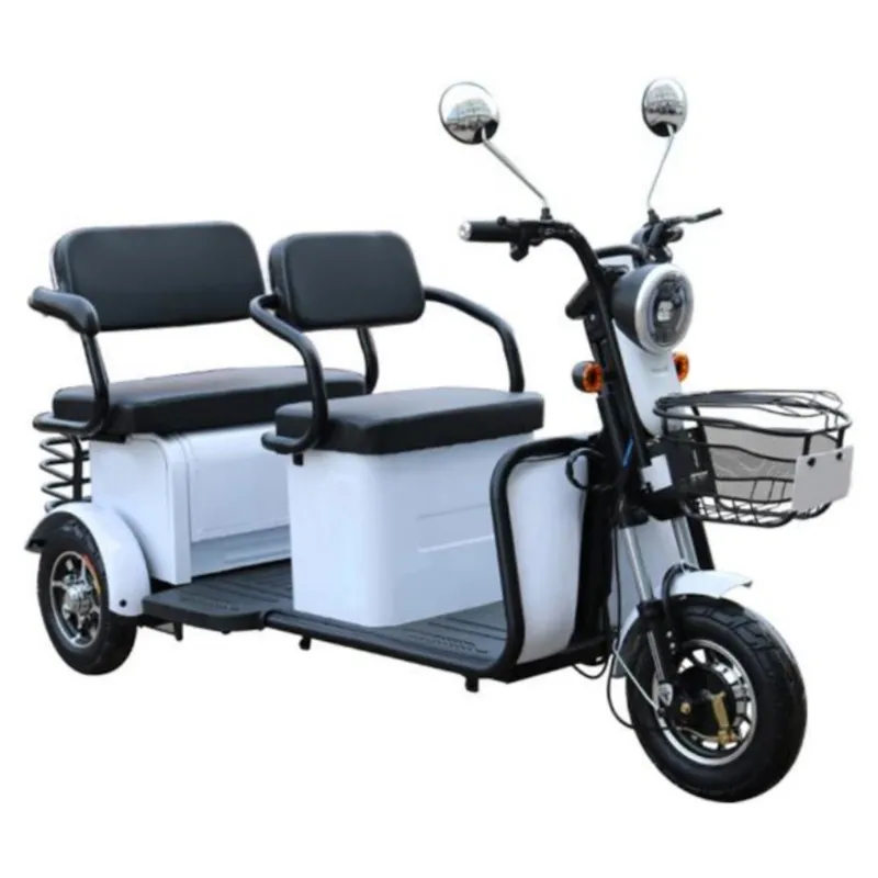 Electric Tricycle, Trike, Cargo Motorcycle, E Passenger Vehicle