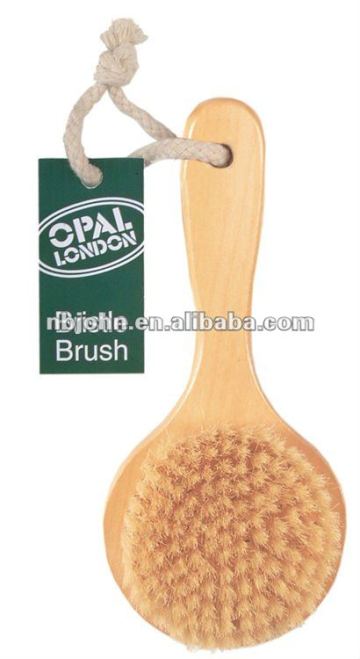 pure bristle body brush