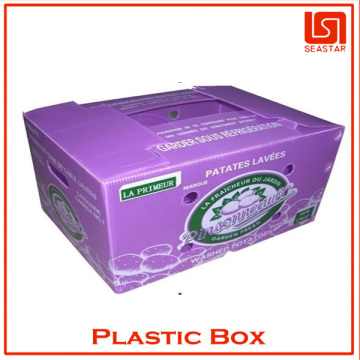 Hot sale foldable fruit box manufacturer