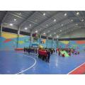 Corte de rodillos de hielo Sports Pisos al aire libre/Indoor Sports Court