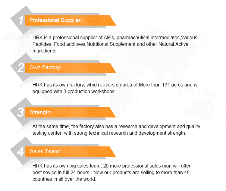 Unternehmen Company