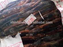 Frozen Illex Squid from CHINA 200-300G