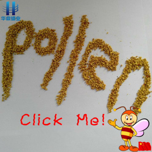 factory bulk 100 % pure pollen